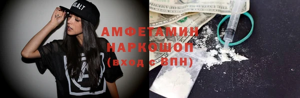 сатива Бронницы