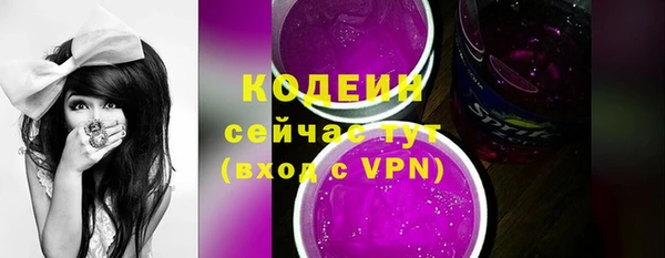стафф Бородино