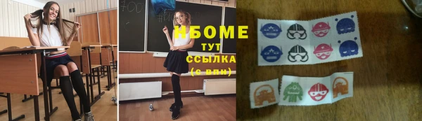 стафф Бородино