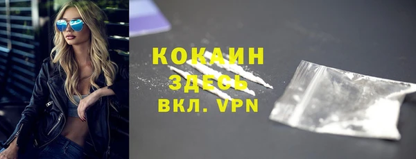 сатива Бронницы