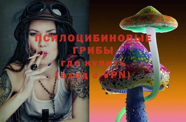 сатива Бронницы