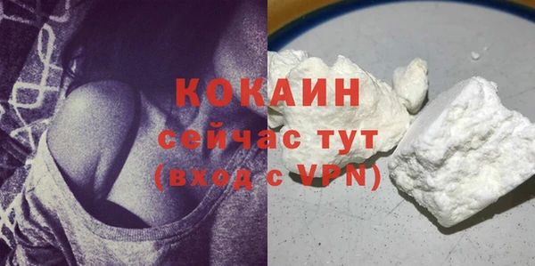 сатива Бронницы