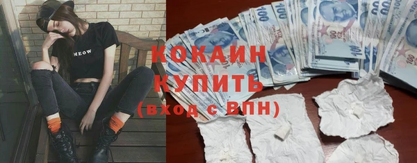 сатива Бронницы
