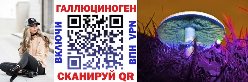 Псилоцибиновые грибы GOLDEN TEACHER Новоузенск