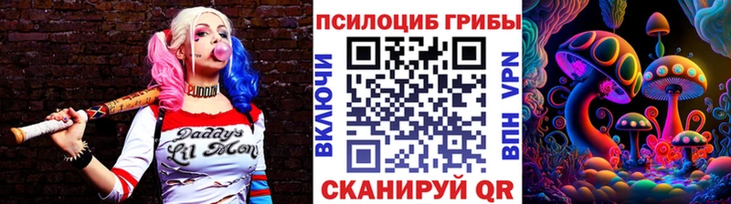 Купить Новоузенск Псилоцибиновые грибы MAGIC MUSHROOMS
